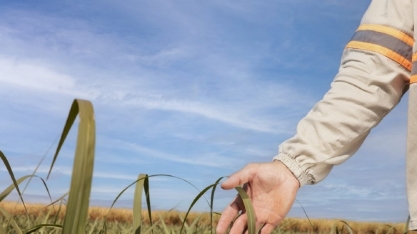 Escolas de Tanabi, Bebedouro e Barretos recebem peça teatral que aborda conscientização ambiental 