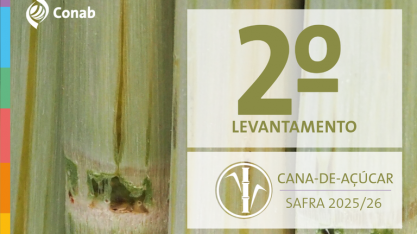 Conab: produção de cana na safra 2025/26 é atualizada para 668,8 milhões de toneladas