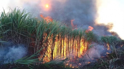 PCC comprou usinas e fez empresários ‘reféns’, diz denúncia