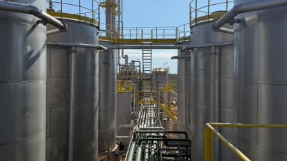 Produção do etanol de trigo é aposta para ampliação da matriz energética sustentável no Brasil