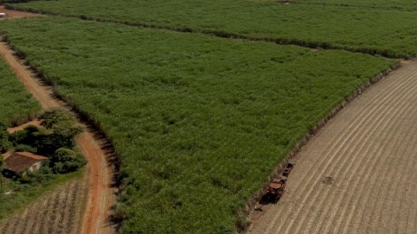 Tereos promove primeiro hackathon para acelerar a descarbonização de suas operações