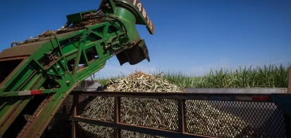 Preço do açúcar caiu mais de 6% em julho no Brasil, enquanto etanol subiu no fim do mês