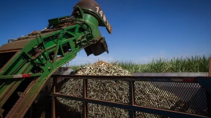 Preço do açúcar caiu mais de 6% em julho no Brasil, enquanto etanol subiu no fim do mês