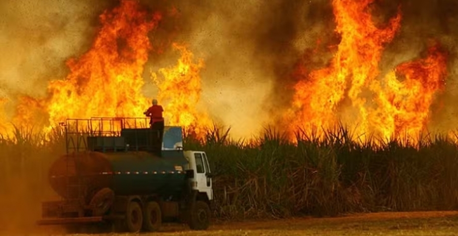 Força tarefa investiga incêndios em canaviais e compra irregular de terras e postos de combustíveis — Foto: Unica/Divulgação