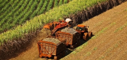 Exportações de açúcar em Mato Grosso disparam no início da safra 25/26