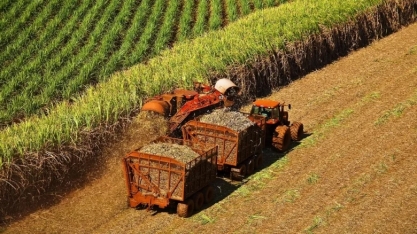 Exportações de açúcar em Mato Grosso disparam no início da safra 25/26