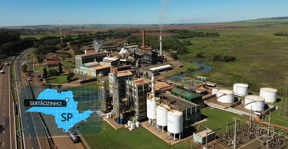 O Brasil é o maior produtor de açúcar orgânico do mundo — Foto: Reprodução