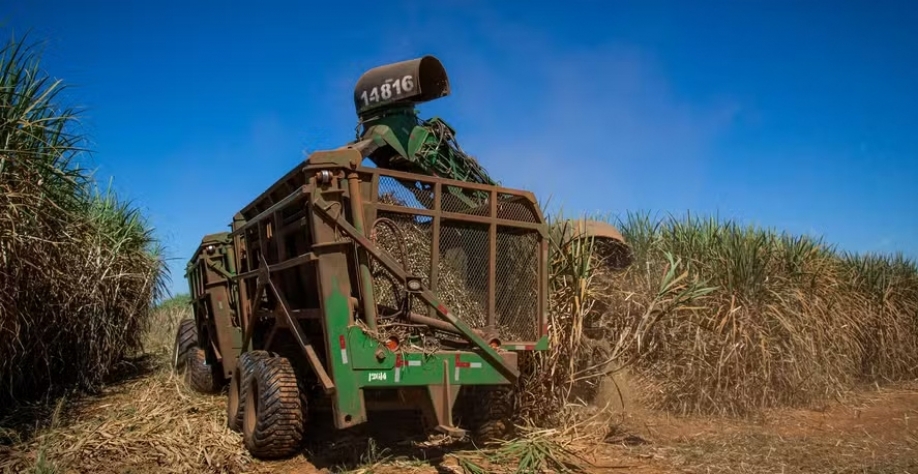 Mexicanos querem aproveitar a experiência que o Brasil possui na produção de etanol a partir da cana-de-açúcar — Foto: Wenderson Araújo/CNA