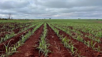 João Pessoa sedia encontro do Circuito Campo Futuro para debater custos e rentabilidade da cana-de-açúcar