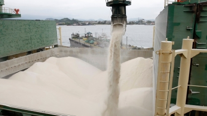 USDA eleva estimativas para estoques e produção de açúcar dos EUA