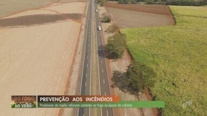 Produtores de cana reforçam combate ao fogo na época da colheita