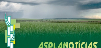 Chuvas de agosto animam produtores canavieiros paraibanos