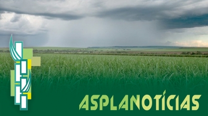 Chuvas de agosto animam produtores canavieiros paraibanos