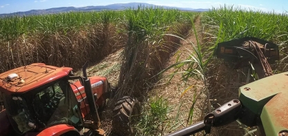 Jalles registrou prejuízo líquido com quebra na safra de cana