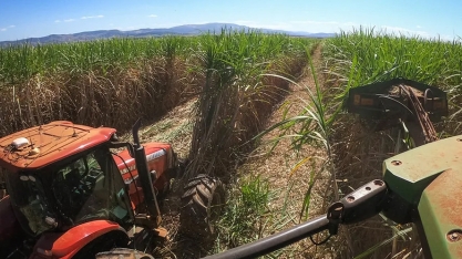 Jalles registrou prejuízo líquido com quebra na safra de cana