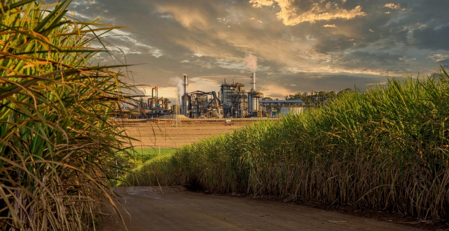 Crédito foto: - Mailson Pignata 