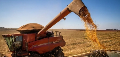 IBGE prevê recorde na produção de soja, milho, algodão e sorgo em 2025