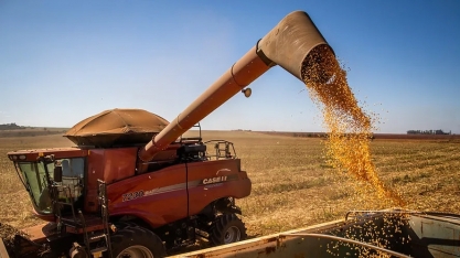 IBGE prevê recorde na produção de soja, milho, algodão e sorgo em 2025