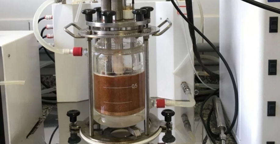 No laboratório da UFSCar, melaço de cana foi misturado aos resíduos de camarão para extração da quitina e depois da quitosana. Foto: Sandra Antonini/Arquivo Pessoal Fonte: https://agro.estadao.com.br/tudo-sobre-agrosp/residuos-extraidos-do-camarao-podem