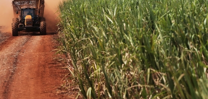 Produção de cana-de-açúcar será de 81,4 milhões de toneladas em Minas Gerais