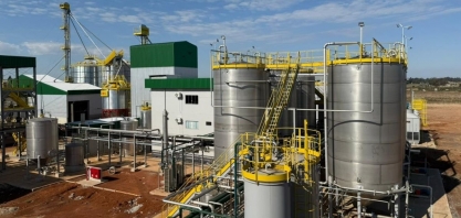 Primeira usina de etanol de trigo do Brasil vai processar 100 t por dia