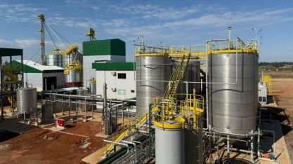 Primeira usina de etanol de trigo do Brasil vai processar 100 t por dia