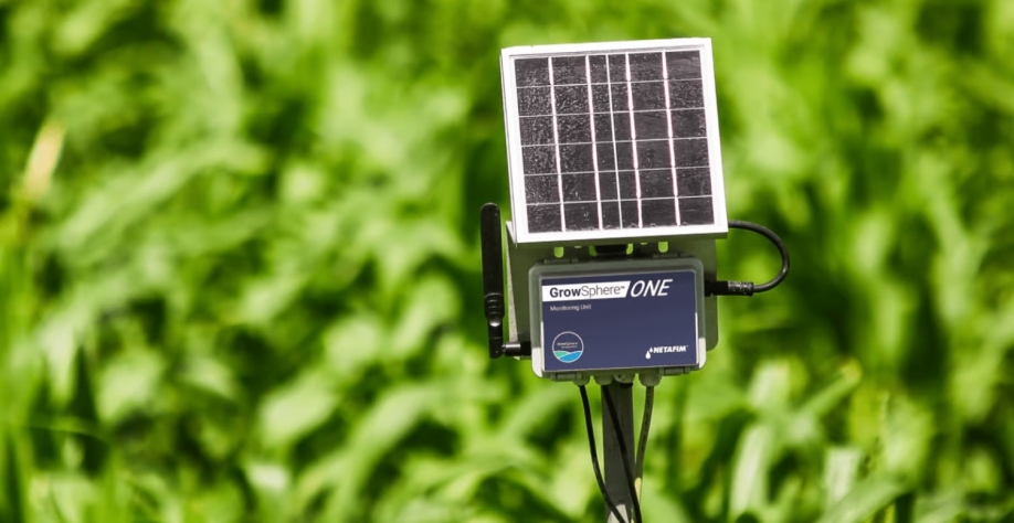 Foto sensor - Novas tecnologias de irrigação são bastante democráticas, com opções para todos os bolsos. Foto: Divulgação Netafim