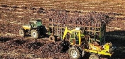 Com safra encerrada, usinas da PB entram em novo ciclo