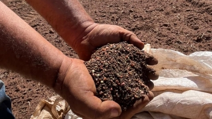 Entregas de fertilizantes avançam 10,5% no Brasil no 1º semestre de 2025