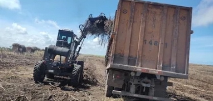 Novo recorde: produção agrícola de AL ultrapassa R$ 4 bilhões