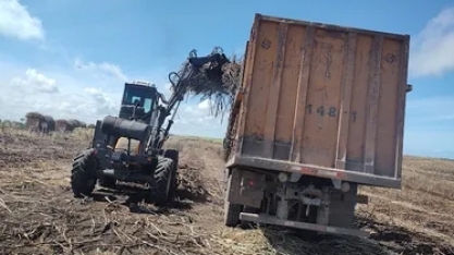 Novo recorde: produção agrícola de AL ultrapassa R$ 4 bilhões