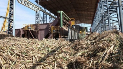 STJ barra “ajuste” de recurso da União em disputa bilionária com o setor sucroenergético