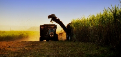 Recuperações judiciais e endividamento expõem agropecuária ao crime organizado 