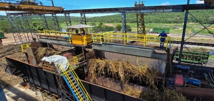 Usinas moeram mais de 230 mil toneladas de cana-de-açúcar em Alagoas