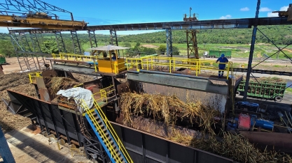 Usinas moeram mais de 230 mil toneladas de cana-de-açúcar em Alagoas