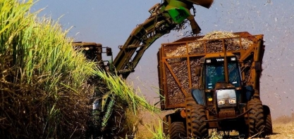 IBGE: Uberaba lidera ranking nacional da cana-de-açúcar