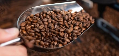 Café volta a subir em Nova York após maior queda diária desde 2021