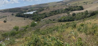 Cooperativa Pindorama recupera acessos a linhas de crédito após resolução de impasse ambiental em Alagoas