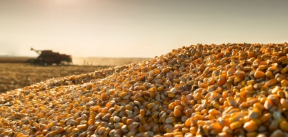 O que o ‘boom’ do etanol de milho representa para o biocombustível da cana?