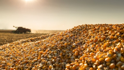 O que o ‘boom’ do etanol de milho representa para o biocombustível da cana?