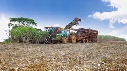 Seca e incêndios afetam canaviais no Vale do São Patrício em Goiás