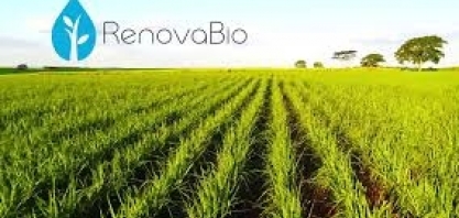 ANP atualiza Informes Técnicos do RenovaBio e abre participação social para novas versões