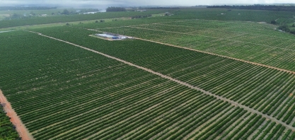 Gotejamento impulsiona agricultura regenerativa e recuperação de solos