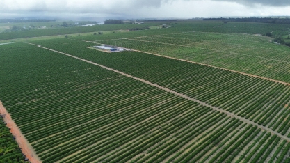 Gotejamento impulsiona agricultura regenerativa e recuperação de solos
