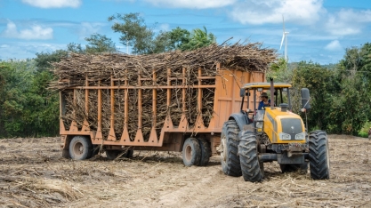 Asplan/PB divulga preço da cana em setembro de 2025