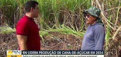 RN lidera produção de cana-de-açúcar em 2024