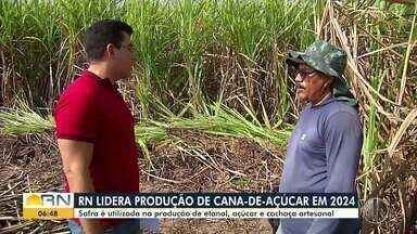 RN lidera produção de cana-de-açúcar em 2024