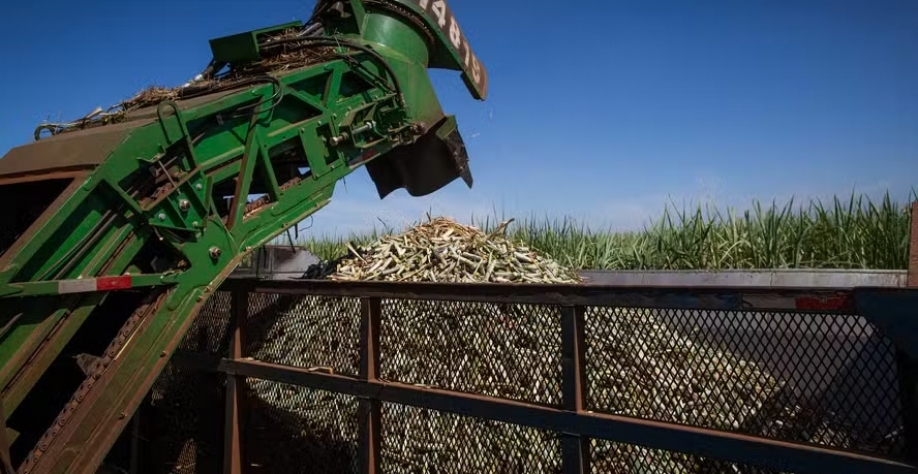 Longo período de estiagem favoreceu a colheita ininterrupta de cana — Foto: Wenderson Araújo/CNA