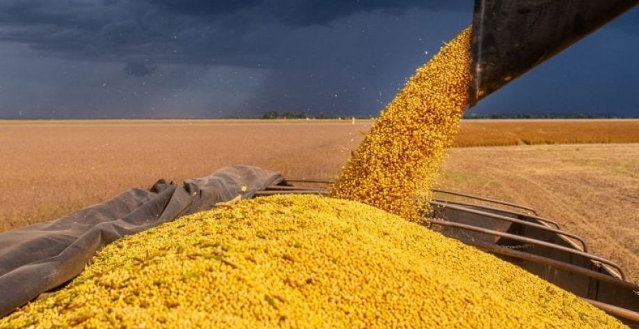 Mercado de soja deve crescer no período. Gettyimages