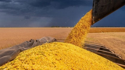 Indústria processadora de soja do Brasil prevê aportes de R$ 5,9 bi nos próximos 12 meses